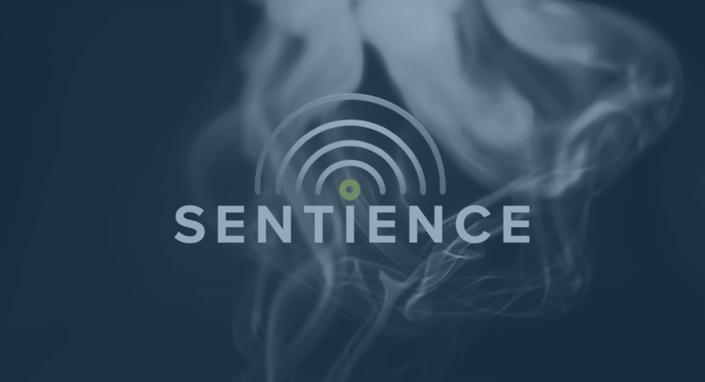 Sentience logo with blue smoke