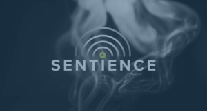 Sentience logo with blue smoke